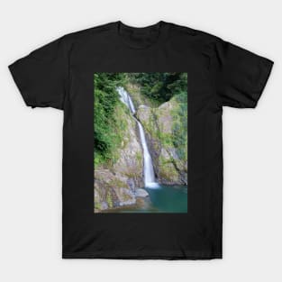 Salto de Dona Juana Waterfall, Orocovis, Puerto Rico T-Shirt